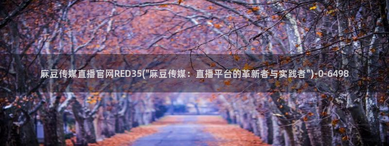 麻豆麻豆个传媒官网app黄:麻豆传媒直播官网RED35(\